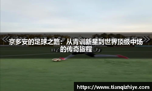 伟德国际集团